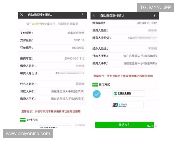 letoubet：深入了解letoubet的支付系统与资金安全保障措施