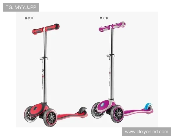 乐宝体育版：提升运动表现的专业辅助工具推荐